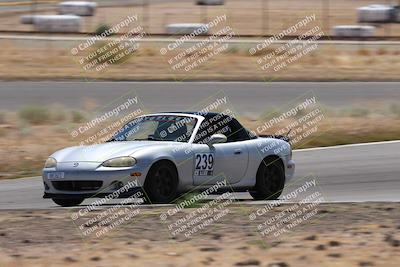 media/May-24-2025-Extreme Speed (Sat) [[067a6f0386]]/Purple Group/Turn 7/